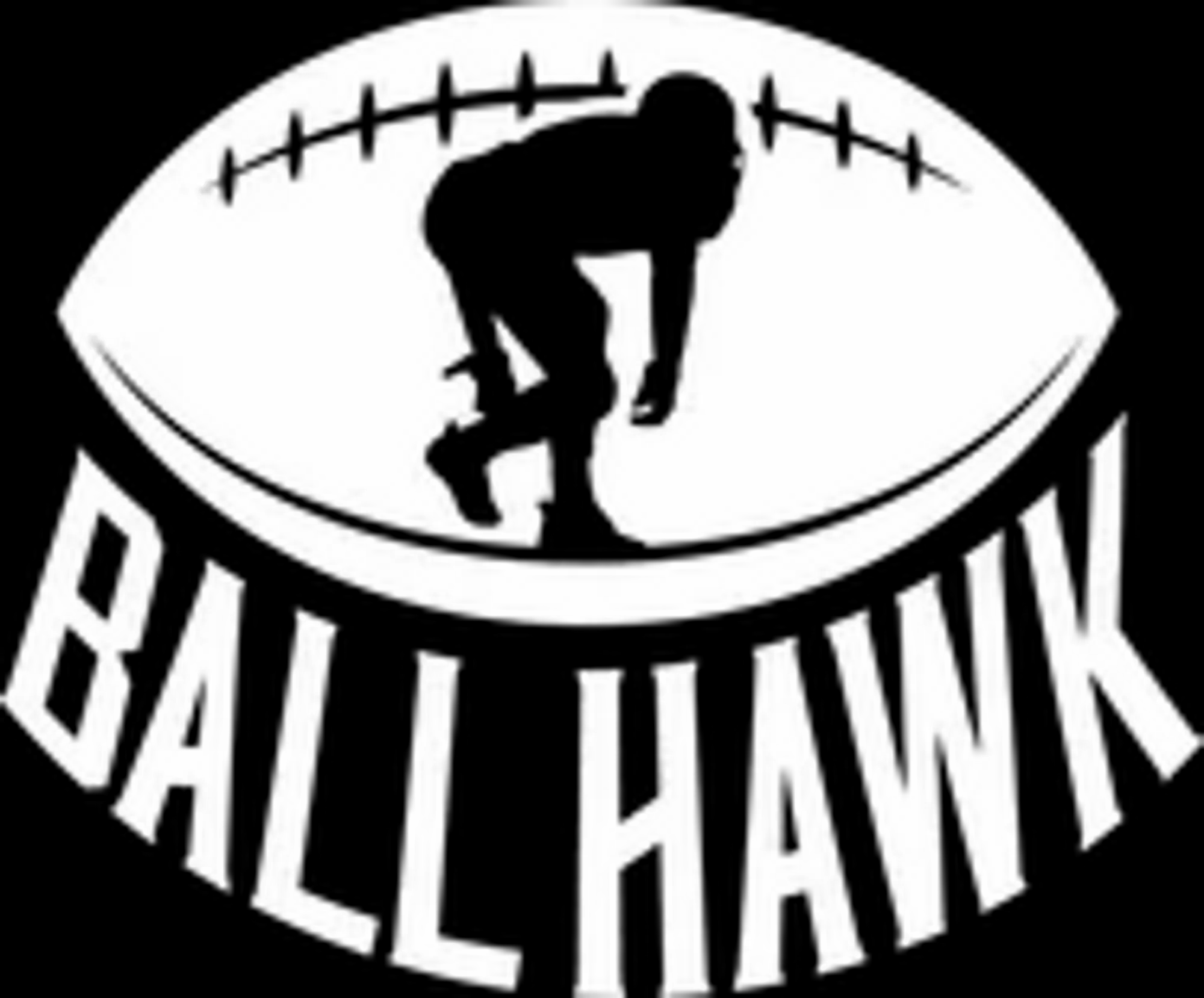 BallhawkU | undefined Logo